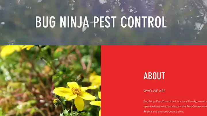 bug ninja pest control regina